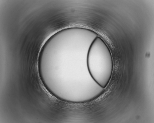 X0000097900888200804111041