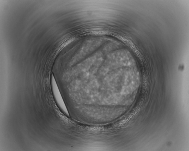 X0000097900889200804111041