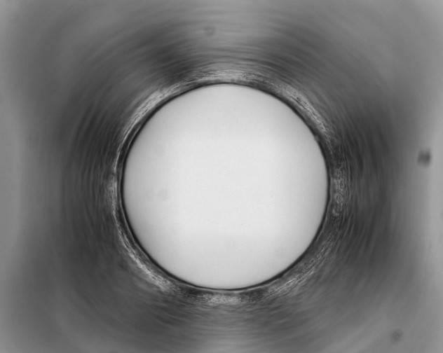 X0000097900890200804111041