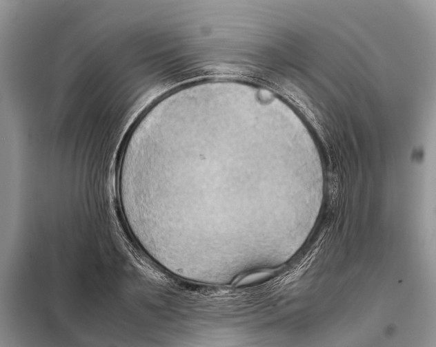 X0000097900891200804111041