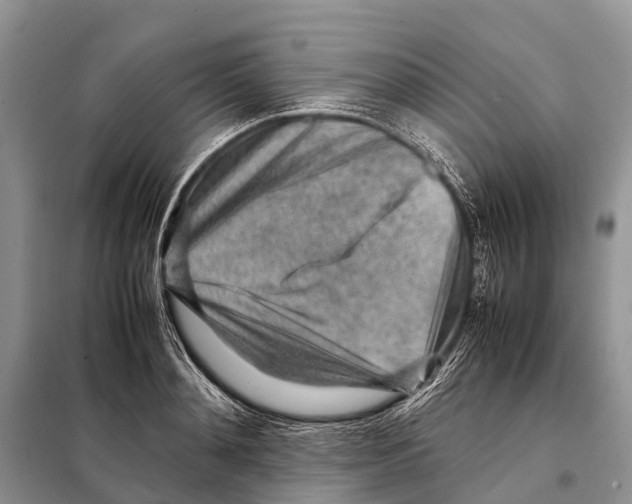 X0000097900892200804111041