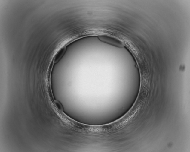 X0000097900893200804111041