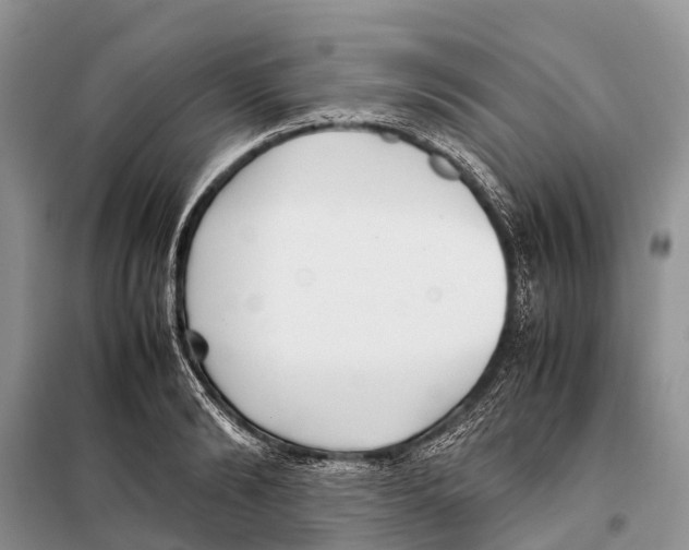 X0000097900894200804111041