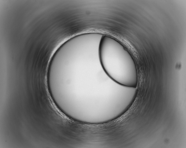 X0000097900896200804111041