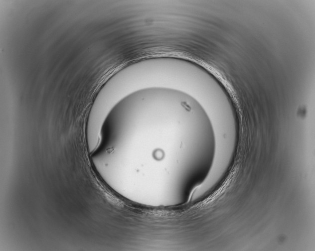 X0000097900897200804111041