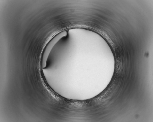 X0000097900898200804111041