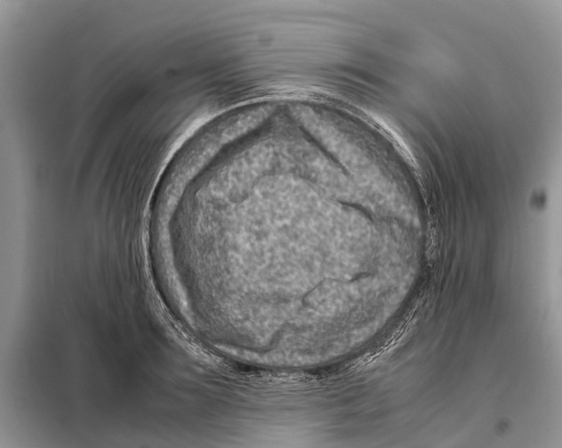 X0000097900899200804111041