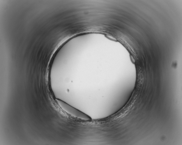 X0000097900900200804111041