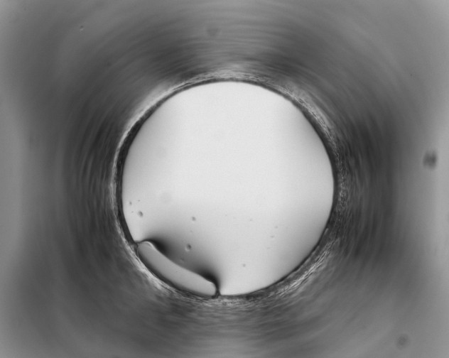 X0000097900902200804111041