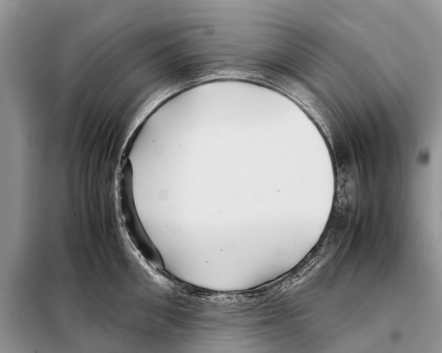 X0000097900906200804111041