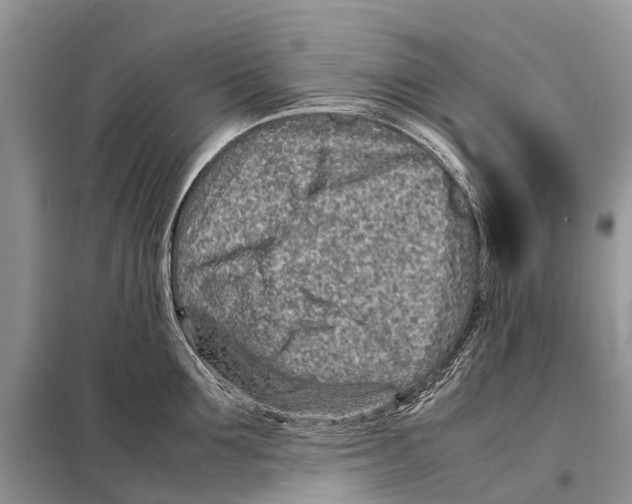 X0000097900907200804111041