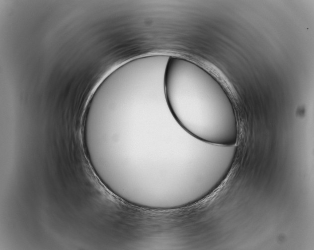 X0000097900908200804111041