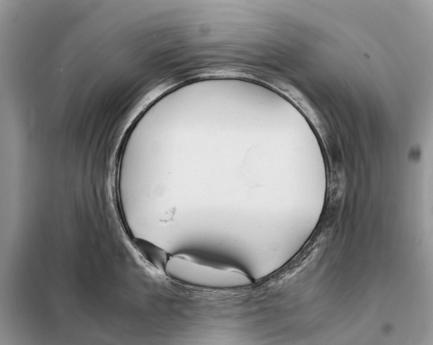 X0000097900909200804111041