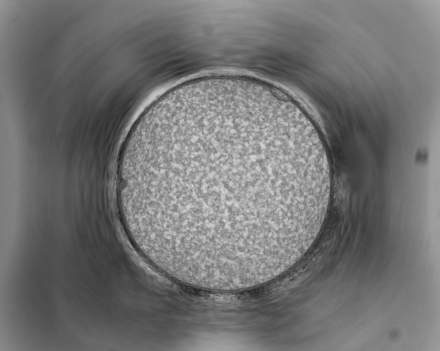 X0000097900911200804111041