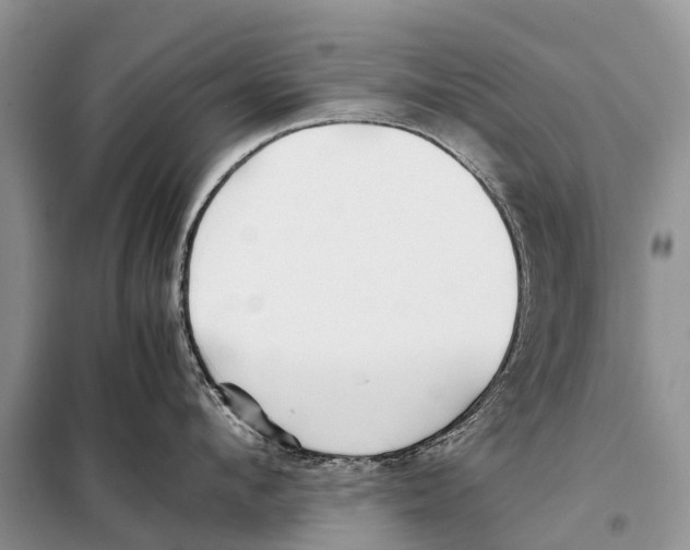 X0000097900912200804111041