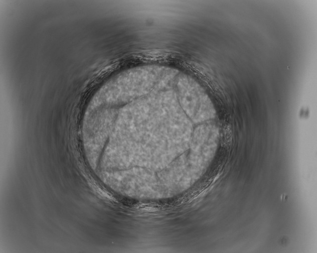 X0000097900913200804111040