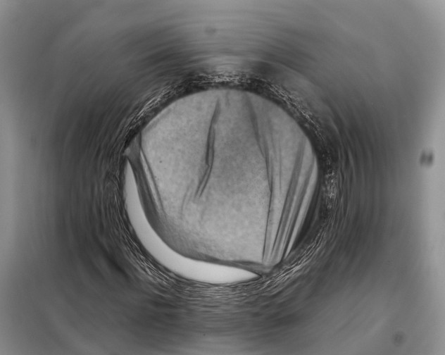 X0000097900916200804111040