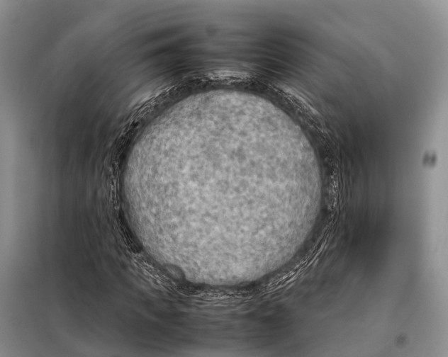 X0000097900917200804111040