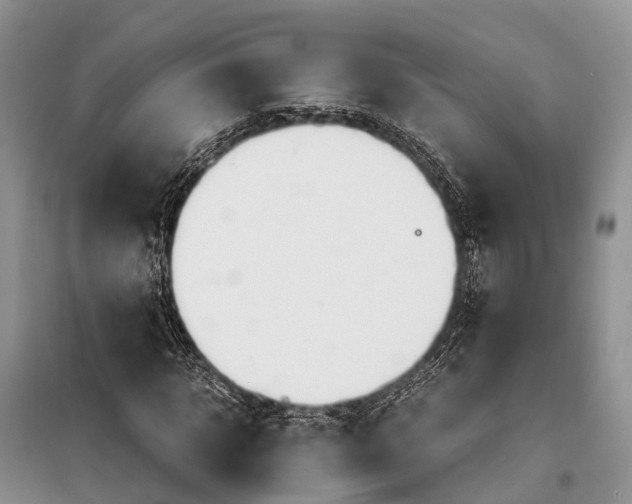 X0000097900918200804111040