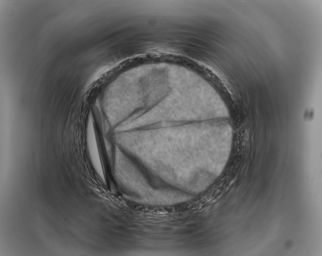 X0000097900919200804111040