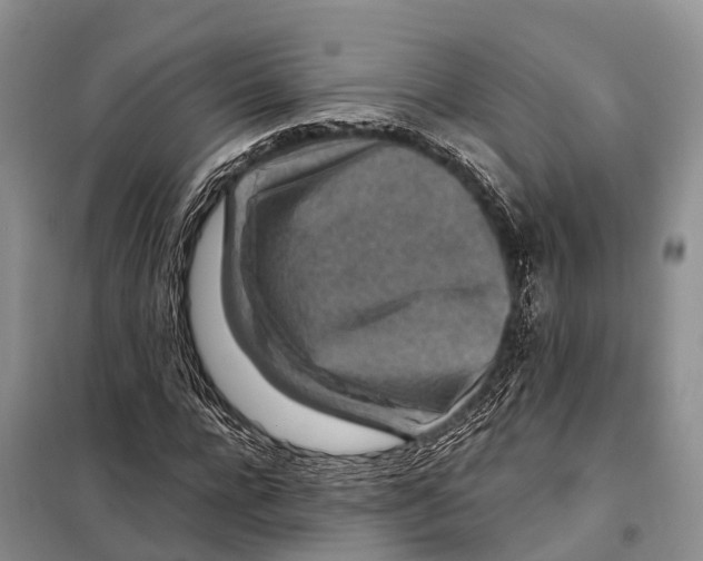 X0000097900920200804111040