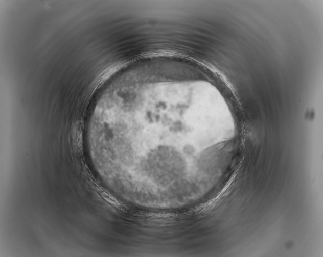 X0000097900921200804111040