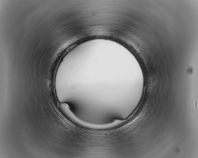 X0000097900922200804111040