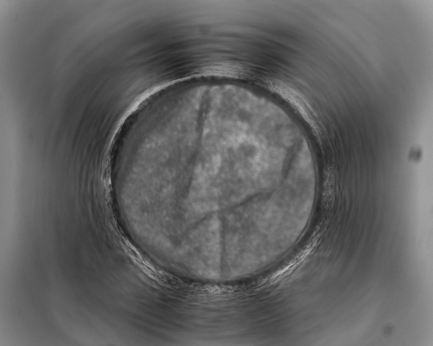 X0000097900923200804111040