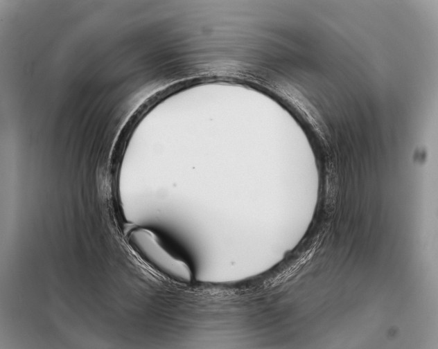 X0000097900924200804111040