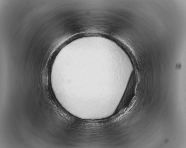 X0000097900925200804111040