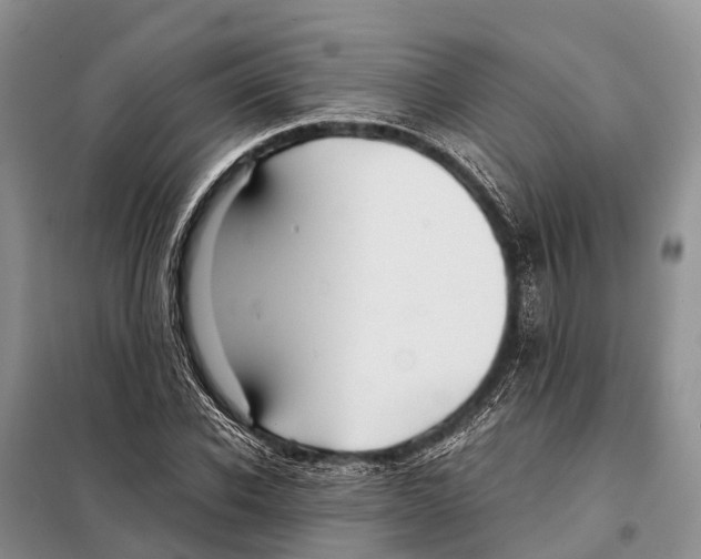 X0000097900926200804111040