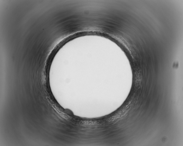 X0000097900927200804111040