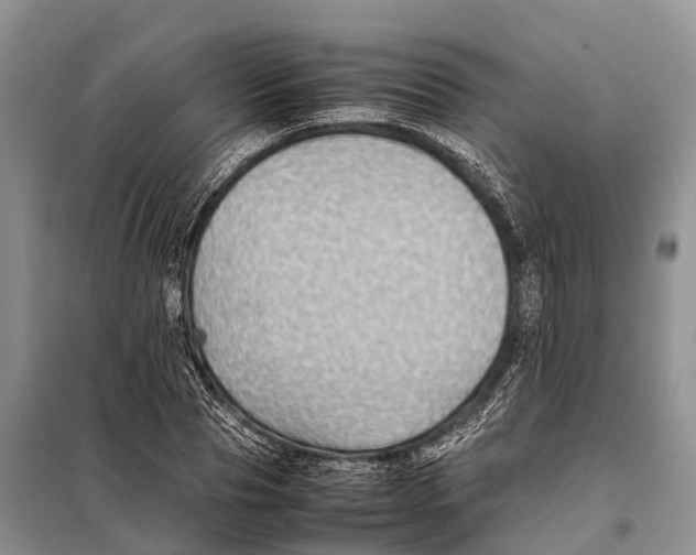 X0000097900929200804111040