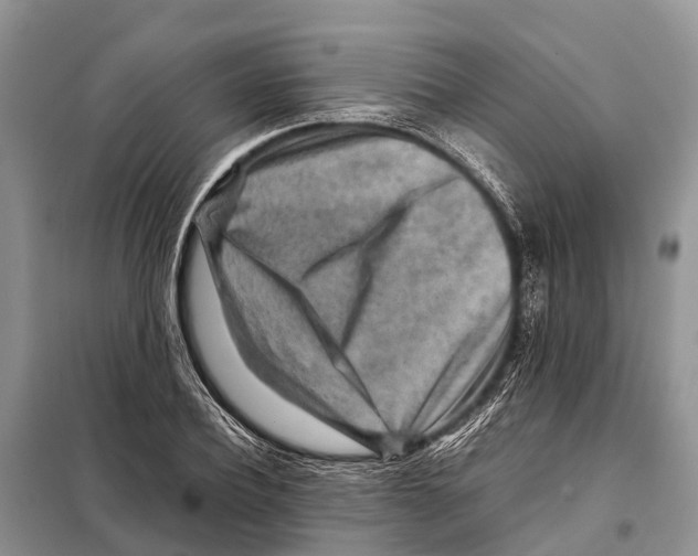 X0000097900932200804111040