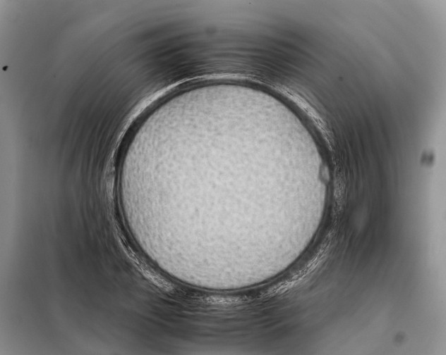 X0000097900933200804111040