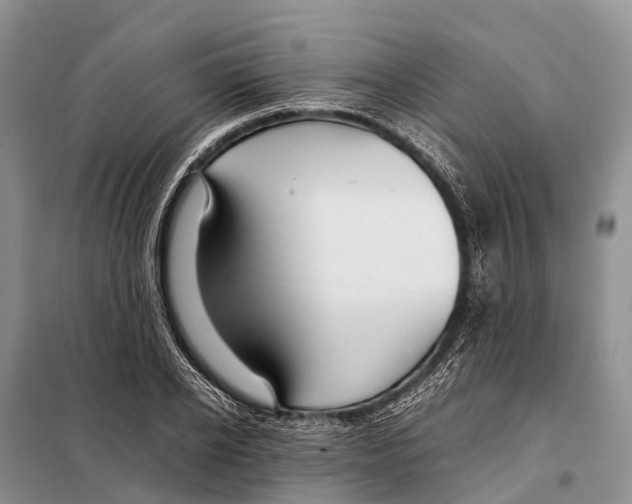 X0000097900934200804111040