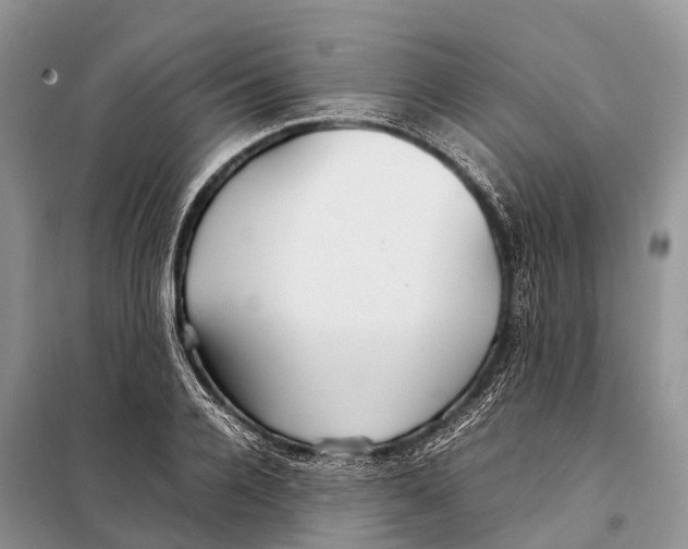 X0000097900936200804111040