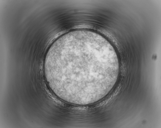 X0000097900937200804111040