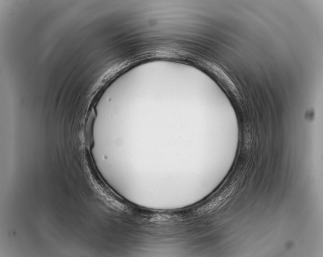 X0000097900938200804111040