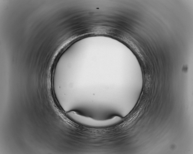 X0000097900939200804111040