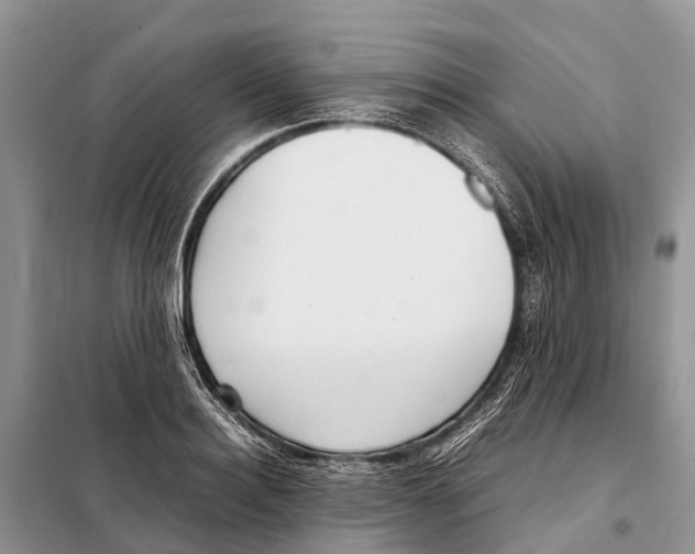 X0000097900940200804111040