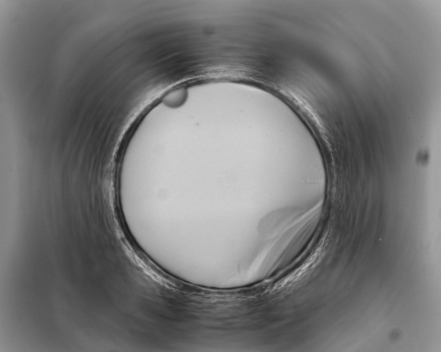 X0000097900941200804111040