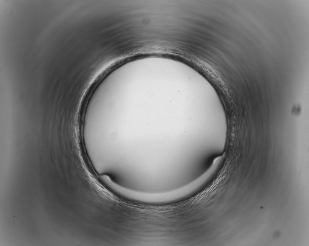 X0000097900942200804111040