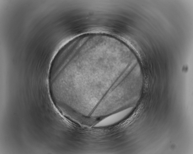 X0000097900943200804111040