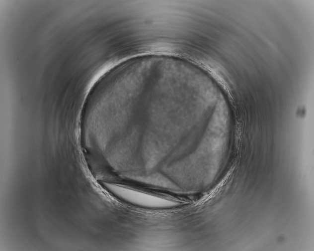 X0000097900944200804111041