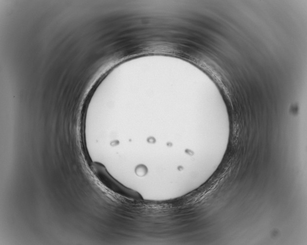 X0000097900947200804111041