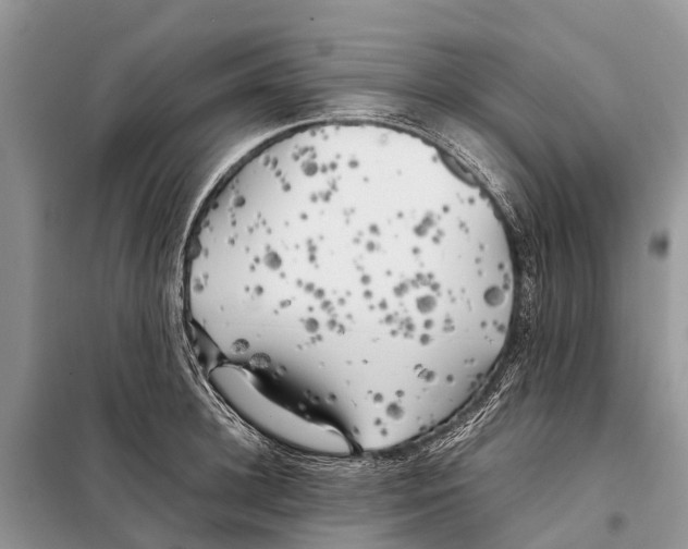 X0000097900948200804111041