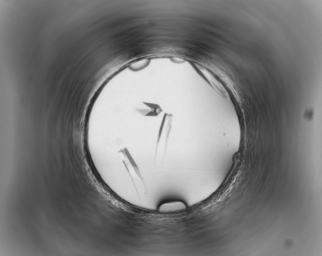 X0000097900949200804111041