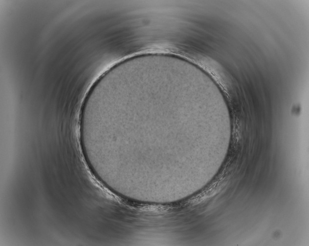 X0000097900950200804111041