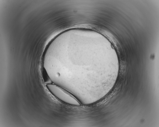 X0000097900952200804111041